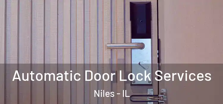 Automatic Door Lock Services Niles - IL