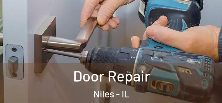  Door Repair Niles - IL
