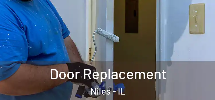 Door Replacement Niles - IL