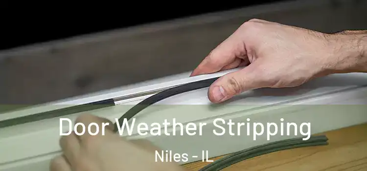 Door Weather Stripping Niles - IL