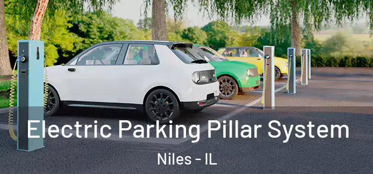  Electric Parking Pillar System Niles - IL