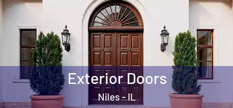 Exterior Doors Niles - IL