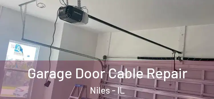  Garage Door Cable Repair Niles - IL