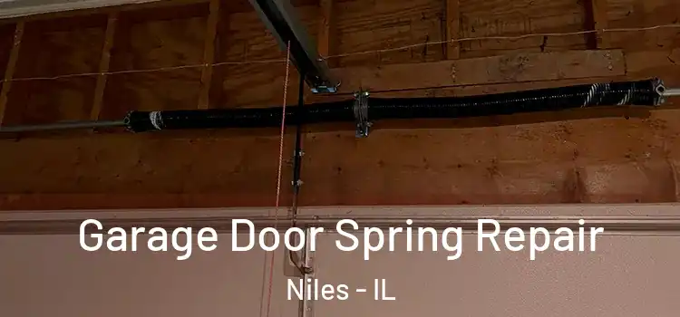  Garage Door Spring Repair Niles - IL