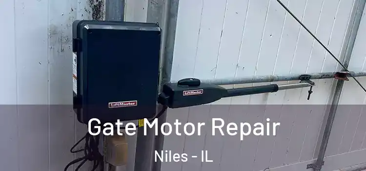 Gate Motor Repair Niles - IL