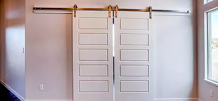 Glass Barn Door with Installation Hardware Kit Niles