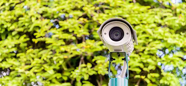 Advanced Surveillance Solutions for Every Need in Niles
