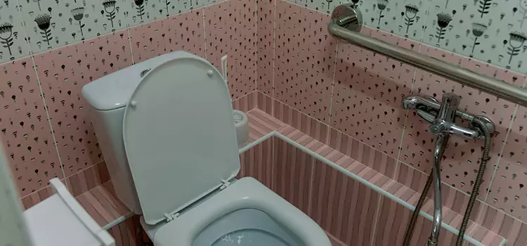 Meeting Diverse Needs With Accessible Restroom Solutions in Niles, IL
