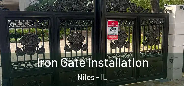 Iron Gate Installation Niles - IL