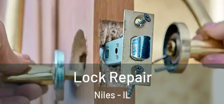  Lock Repair Niles - IL