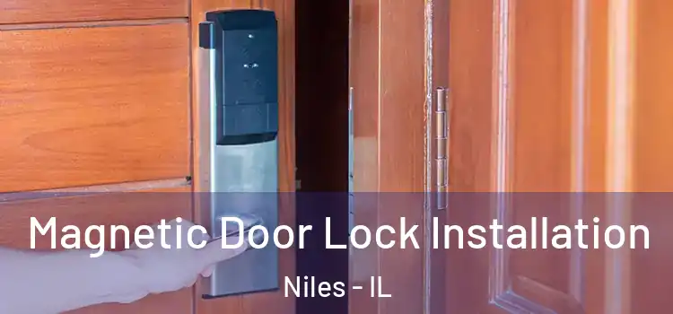  Magnetic Door Lock Installation Niles - IL