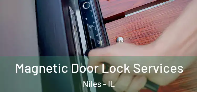  Magnetic Door Lock Services Niles - IL
