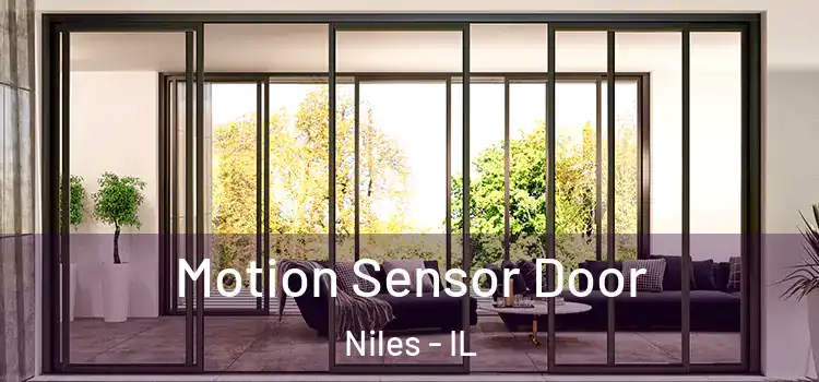 Motion Sensor Door Niles - IL