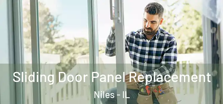  Sliding Door Panel Replacement Niles - IL
