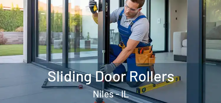 Sliding Door Rollers Niles - IL