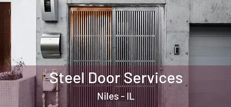 Steel Door Services Niles - IL