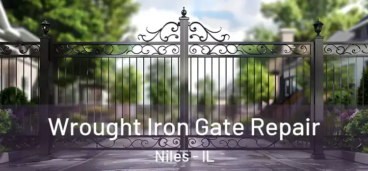  Wrought Iron Gate Repair Niles - IL